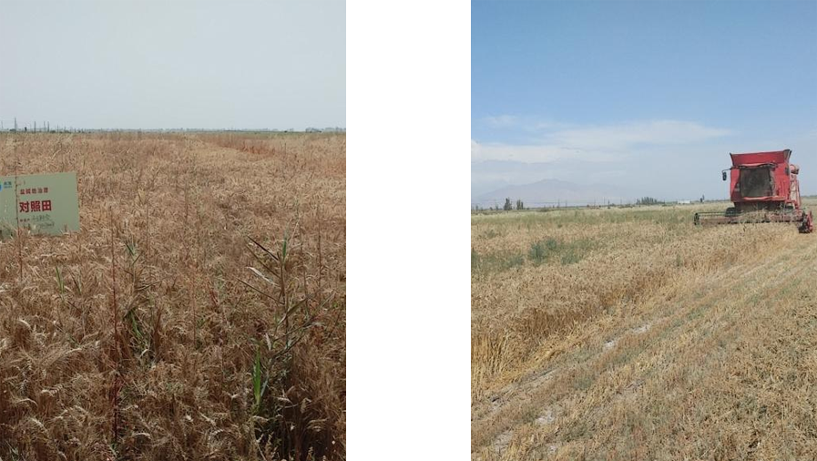 1723454731278013.png 1723454731278013.png