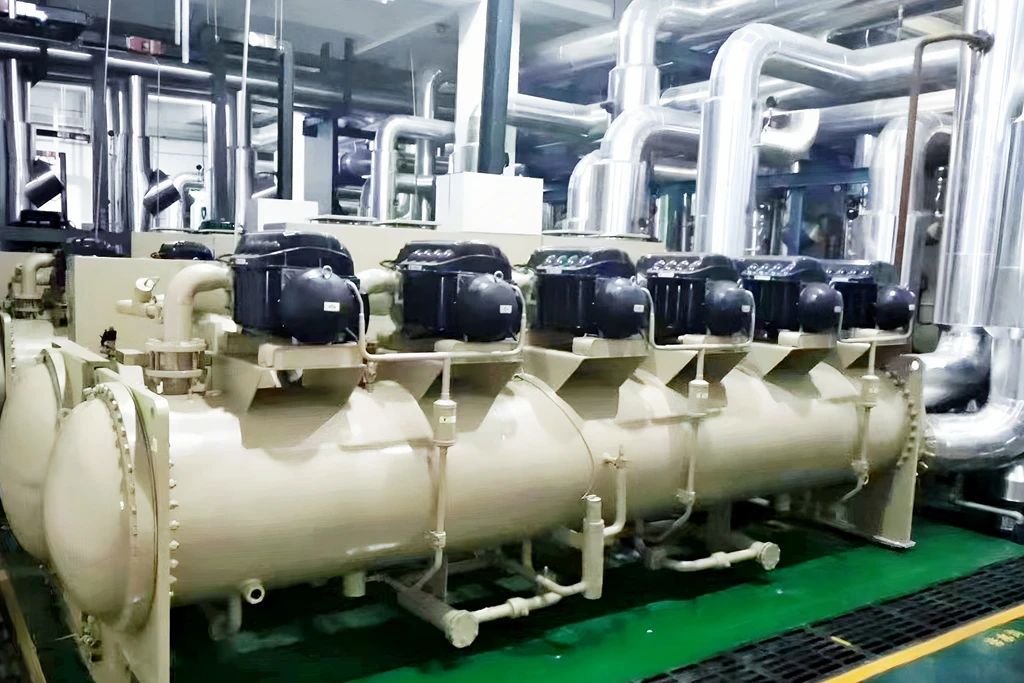 1732500318134792.jpg 能安2.jpg